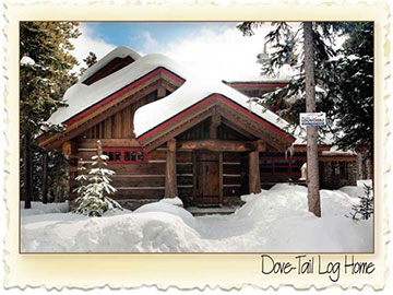 Dovetail Chinked System Log Home - Nicola LogWorks