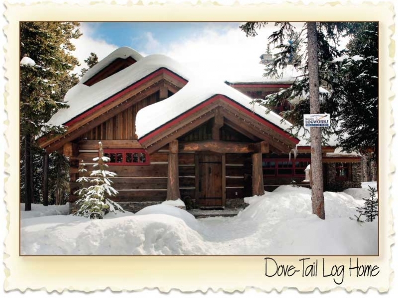 dove tail log home