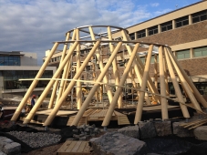 Complex Post and Beam for Mohawk College