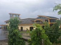 Grizzli Winery Kelowna BC