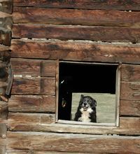 One of the historic log barns in the Nicola Valley